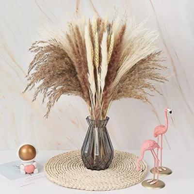 China Wholesale Natural Amazon Touch Success Flower Decoration Home Wedding Decoration Mixed Dried Small Pampas Grass for sale