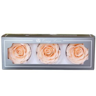 China Factory price high quality natural everlasting wholesale 7-8cm preserved touch rose bud in box for sale