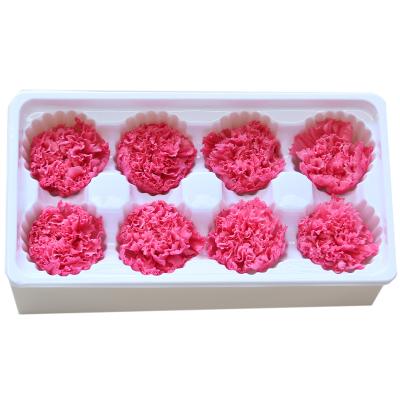 China 2020 Real Rose Hotsale Mothers Day Romantic Preserved 4-5cm Long Lasting Carnation Bud In Box for sale