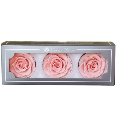 China High Quality Home Decoration Wholesale Roses Touch A Grade Real 7-8 Cm Roses Preserved Long Lasting Preserved Roses for sale