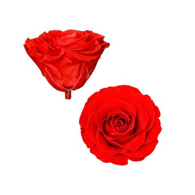 China Silk Wholesaler Eternal Rose Preserved Flower Box Roses Preserved Rose Head for sale