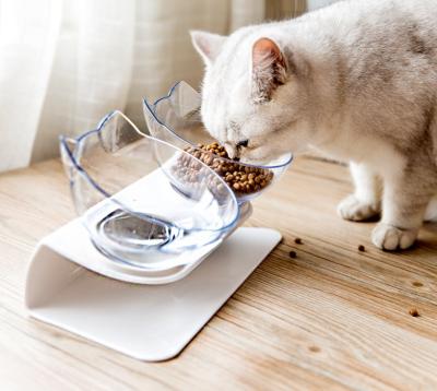 China Double Bowl Sustainable Explosive Cat Bowl Transparent PC Material Non-slip Food Bowl With Cervical Protection for sale