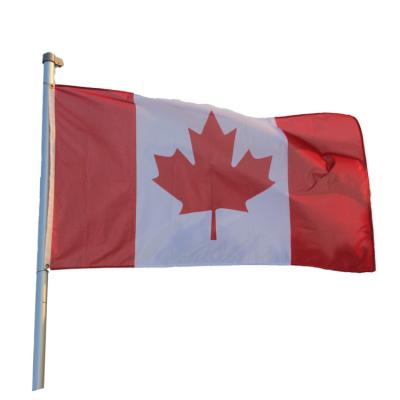 China High Quality Polyester FLYING National Flags Flying Flags USA Canadian Flag for sale