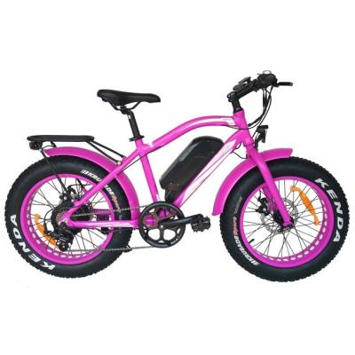 China Aluminum alloy motor tektro brushless disc brake led lightweight fat tire electric bike for sale