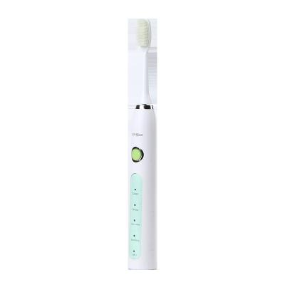 China Hot Selling Private Label 9206 Sonic Electric Toothbrush Adult Electric Toothbrush Good Quality for sale