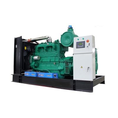 China Ce&iso Approved 10kw 30kw 100kw 500kw Industrial Natural Gas Generator 1-350T/H for sale