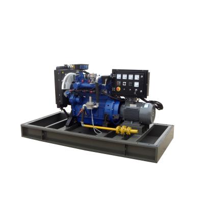 China For Sale CE Approved Low Noise Low Emission Gas Generator 5kw To 300kw 1-350T/H for sale