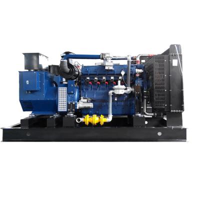 China Factory Directly Supply Long Lifespan Natural Gas Generator 10kw 500kw 1000kw 1-350T/H for sale