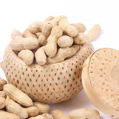 China China Shandong Dried Raw Peanuts For Sale 9/11 11/13; for sale