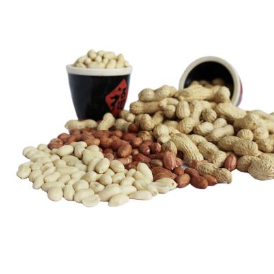 China China Dry Wholesales High Quality Roasted Peanut In Shell for sale