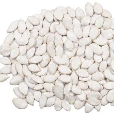 China Dry snow Pumpkinseeds white 13cm for sale