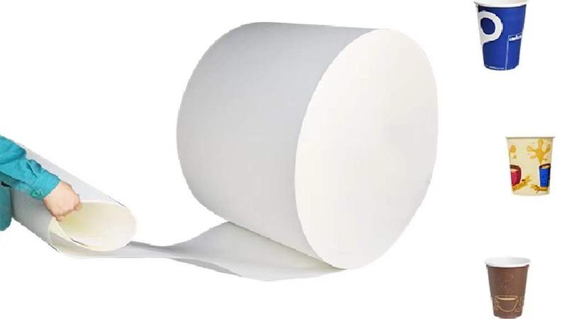 Verified China supplier - Hangzhou Chensu Paper Products Co., Ltd.