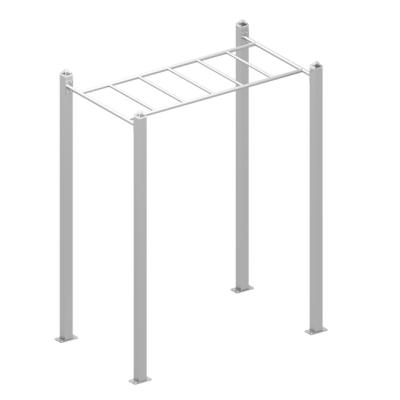 China 13-70 Years Brand Life Fitness Gym Equipment Good Quality Wholesale Professional Commercial Monkey Bar Fitness Equipment KINPLAY for sale