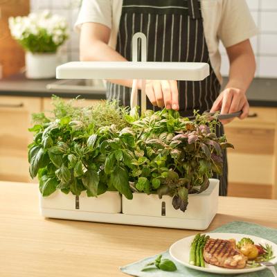 China LED Indoor Garden Hydroponic Kit with Smart Indoor Soil Herb Garden Lamp for Indoor Plants Full Spectrum Grow Light for sale