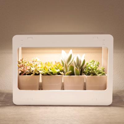 China Work Automatically Creative LED Indoor Garden Kit 14W Full Spectrum Mini Indoor Smart Garden Desktop Plant Light Indoor Herb Garden Kit for sale