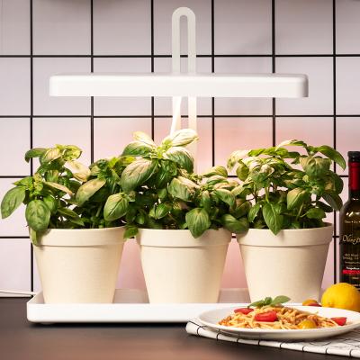 China Hydroponic Click and Grow Indoor Garden Home Smart Herb Grower Kitchen Herb Garden With Grow Light for sale