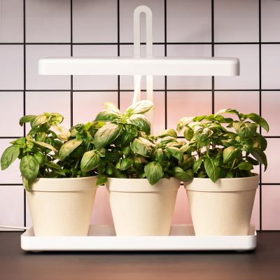 China Indoor LED Garden Kit Timer Work Automatically Indoor Automatic Working Grass Growing Kit Led Light From Smart Garden Grow Light Indoor Plant for sale