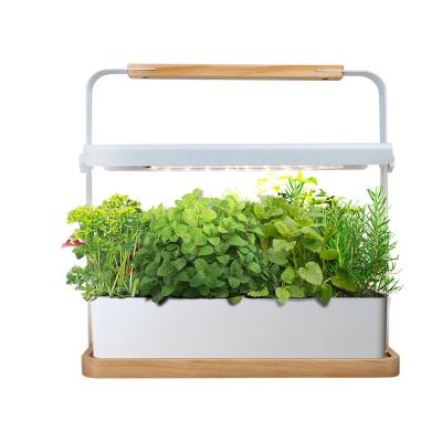 China LED Indoor Wooden Garden Kit Automatic Herb Garden Planter Working Smart Herb Garden Kit With Light Desk Grow Kit for sale