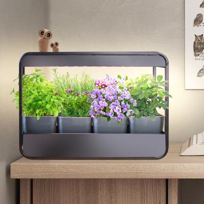 China Minigarden Norm Indoor American Urban Garden Kitchen Metal JNC Style LED Wall Herb Garden Picture Wall Frame Kit Led Indoor Herb Garden for sale