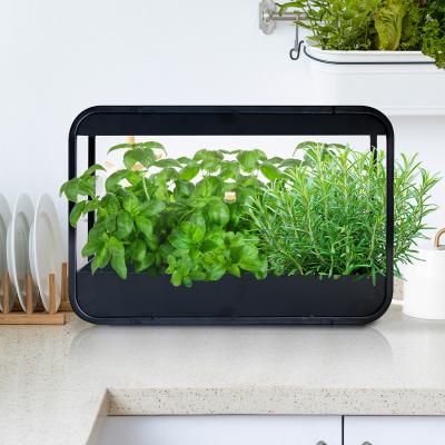 China Indoor Garden American Kitchen Metal Style LED Indoor Garden With Plant Growing Wall Light Herb Garden Kit for sale