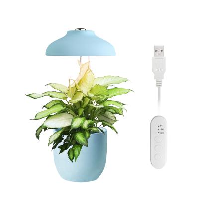 China Full Spectrum Sky Blue USB Indoor Decorative Umbrella Lamp Led Grow Kit Small Planter Light for sale