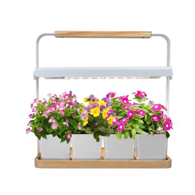 China Indoor Garden Minimalist Herb Garden Hydroponic Growing Systems Led To Grow Light Wood Smart Hydroponics For Home for sale