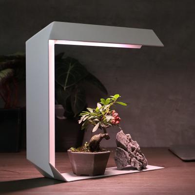 China Europe LED Indoor Garden Bonsai Table Suitable Green Indoor Grow Light Smart Grow Indoor Garden For Home Decor for sale