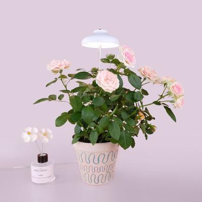 China USB LED Indoor Garden Plant Lamp Small Growing Light Usb Led For Plant Growth for sale