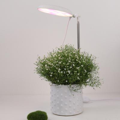 China Scandinavian USB Wire Controller Full Spectrum Growing Led Lamp For Growing System Indoor Plants With Lights for sale