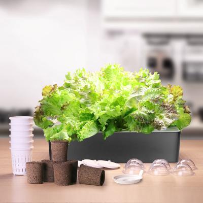 China Minimalist Hydroponic Growing Box For Smart Plant Pot Lettuce Herbs Vegetables Mini Garden Smart Garden Tools for sale