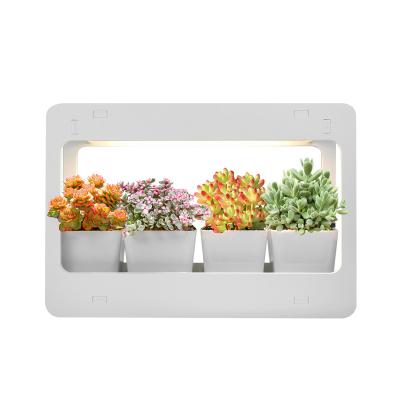 China DIY Home Herb Grower Kitchen Indoor Herb Garden Kit Healthy White Grow Light Grow Lights With Timer Function for sale