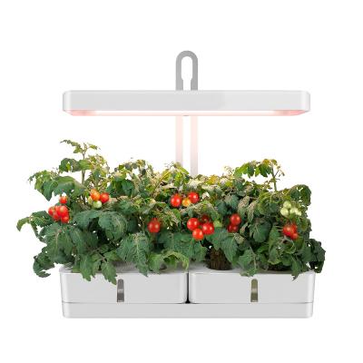 China Indoor Garden Hydroponic Home Smart Plant Care Gardening Grow Hydroponic Tool Kit Grow System With Light for sale