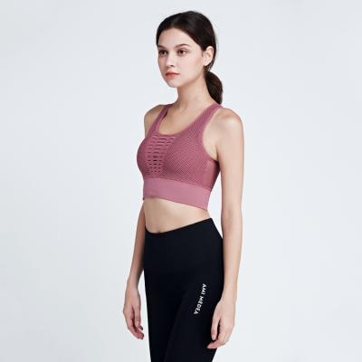 China High Quality Hot Selling Breathable Women Sports Bra Top Gym Ladies Bra Supplier for sale