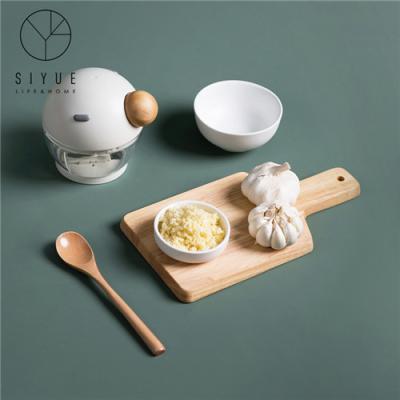 China New Style Fashion Color Viable Quality Guaranteed Mini Masher For Garlic Gold White Or Blue Meat 1073 for sale