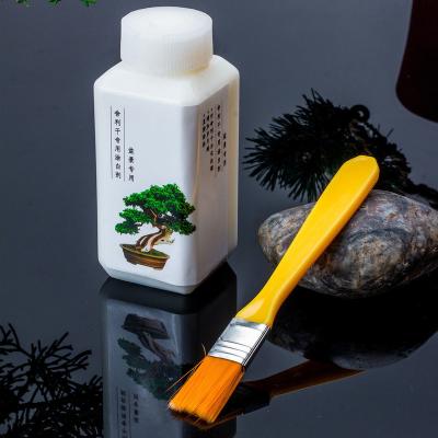 China Small Plastic Brush Excellent Quality Plastic Brush For Computer Motherboard Laptop Mobile Phone Clean Dusting for sale