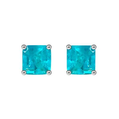 China Romantic Statistical Institute customized ear jewelry female 2021 foreign trade hot sale Paraiba earrings new for sale