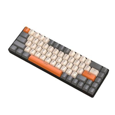 China Anti-ghosting Spill Resistant Free Wolf T8 Russian keyboard 68keys customized RGB mechanical keyboard for tablet notebook computer game keyboard for sale