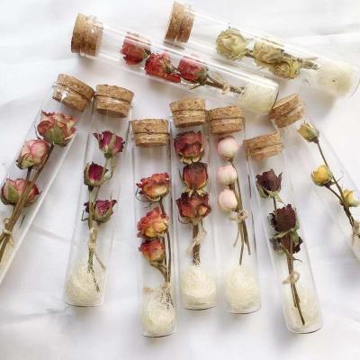 China Morden Natural Wood Cork Rose Flower Decoration Ins Dry Gift With Drift Bottle for sale