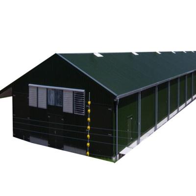 China Steel Structure Poultry House Steel Structure Poultry House Workshop Galvanized Poultry Seats Farm Shed Design for sale