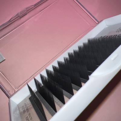 China Full volume 2023 hot sale private label mink eyelash extension whips 20mm promade lash fans for sale