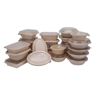 China Eco Disposable Bagasse Products Disposable Food Packaging Biodegradable Food Container for sale