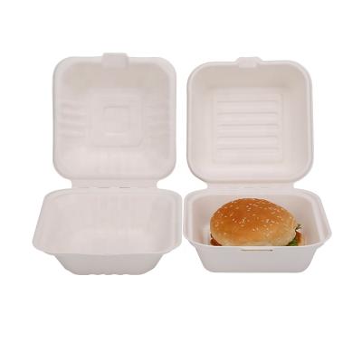 China Disposable Bagasse Clamshell Sugar Cane Bagasse Compostable Square Boxes 8inch for sale