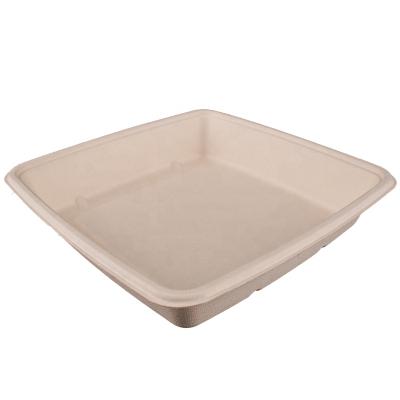 China OK COMPOST PLACE Food Container Bagasse Lunch Box Disposable Takeout Food Container With Lid for sale