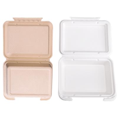 China Microwavable Fast Food Takeaway Container Biodegradable Lunch Boxes Sugarcane Bagasse Packaging Food Container for sale