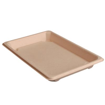 China Hotel Home Restaurant Eco Friendly Sushi Dish Plates Biodegradable Eco Friendly Compostable Sushi Trays for sale