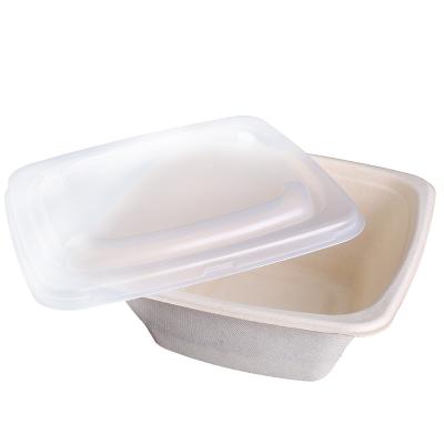 China Disposable Take Out Bowl Eco Friendly Microwaveable Sugarcane Bagasse Noodle Bowl Disposable Pasta Bowls for sale