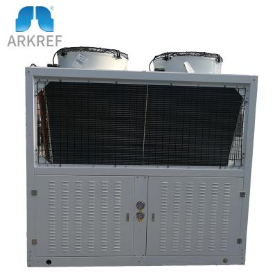 China Industrial Refrigeration Parts Cold Room Low Noise High Temperature Air Cooled Condensing Unit for sale