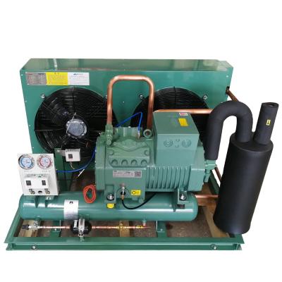 China Refrigeration Cold Room Compressor Condens Unit Low Temperature Air Cooled Condensing Unit for sale