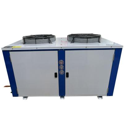 China High Efficient Two Storey Garment Shops Low Price Condensing Cold Storage Equipment Air Cooled Unit Price for sale