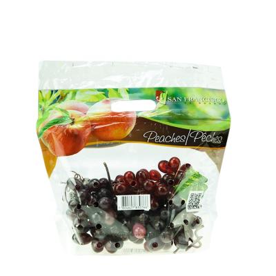 China Manufacturers Moisture Proof Custom Printed Mylar Bags Fruit Vent Bag With Zipper For Apple / Orange for sale